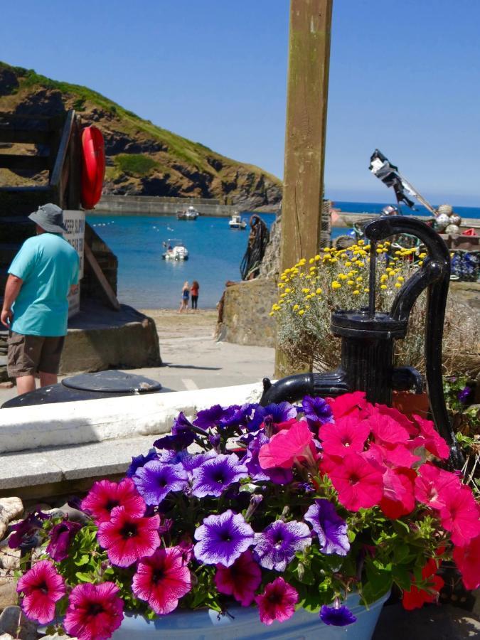 The Slipway B&B Port Isaac Kültér fotó